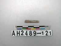 藏品(磨製石針)的圖片